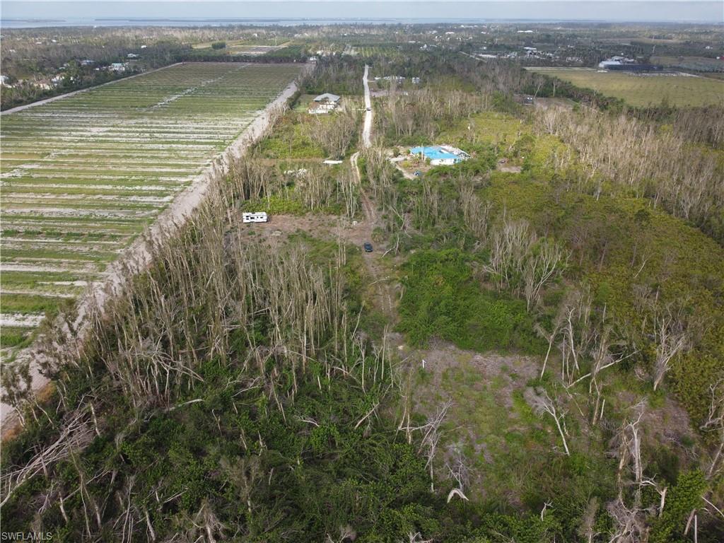 KREAMERS AVOCADO SUBD - Land