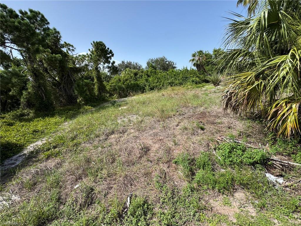 PUNTA GORDA - Land