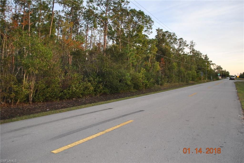 LIVINGSTON WOODS - Land