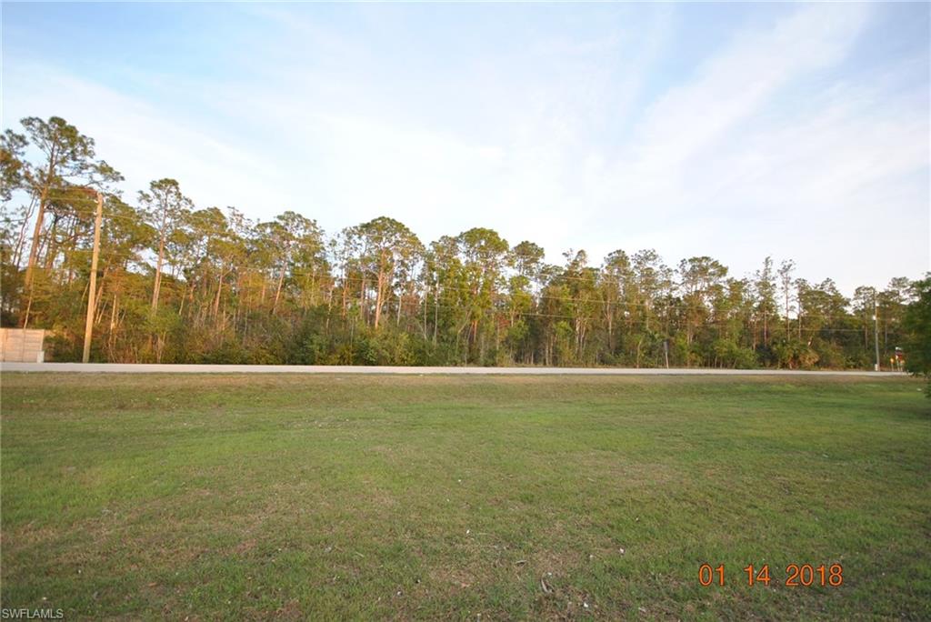 LIVINGSTON WOODS - Land