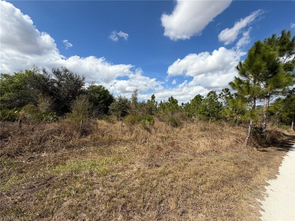 PUNTA GORDA - Land