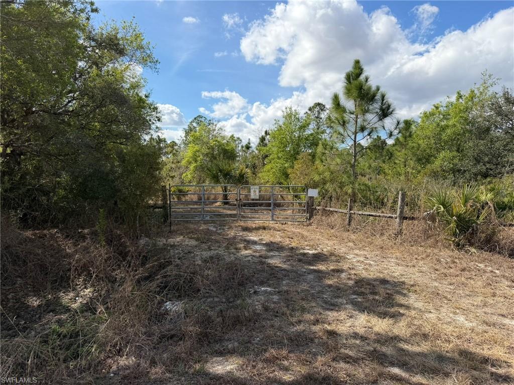 PUNTA GORDA - Land