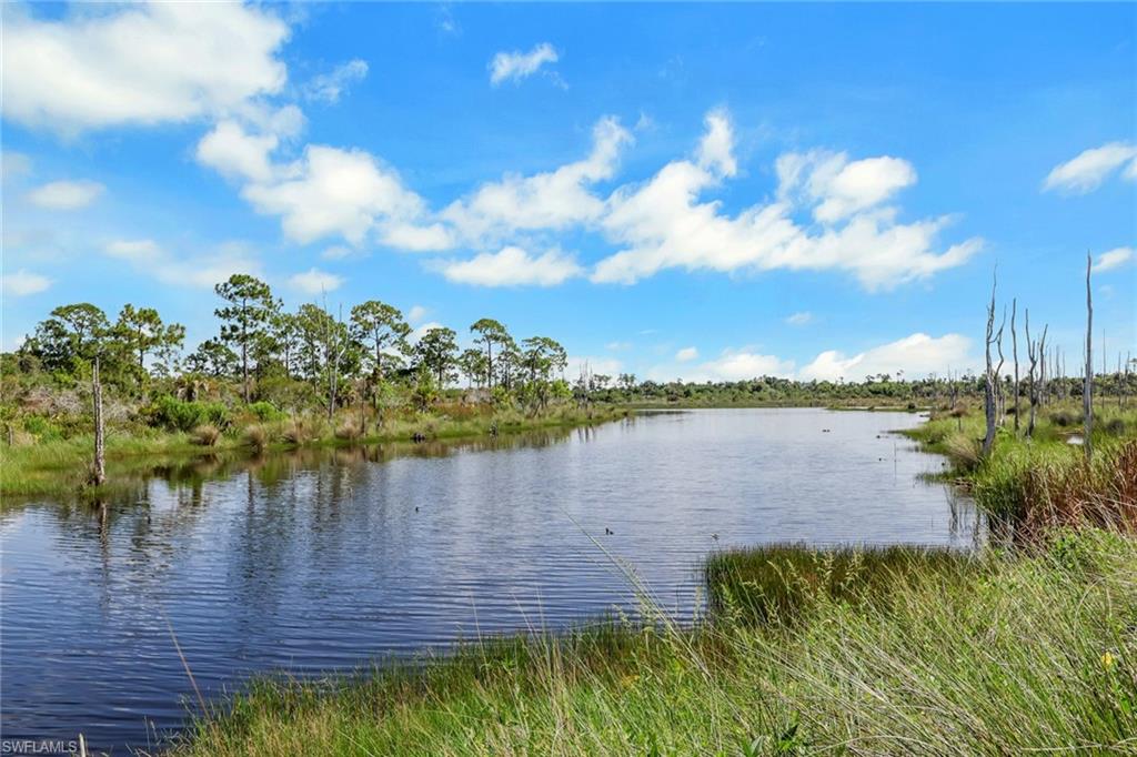 ISLES OF COLLIER PRESERVE - Residential