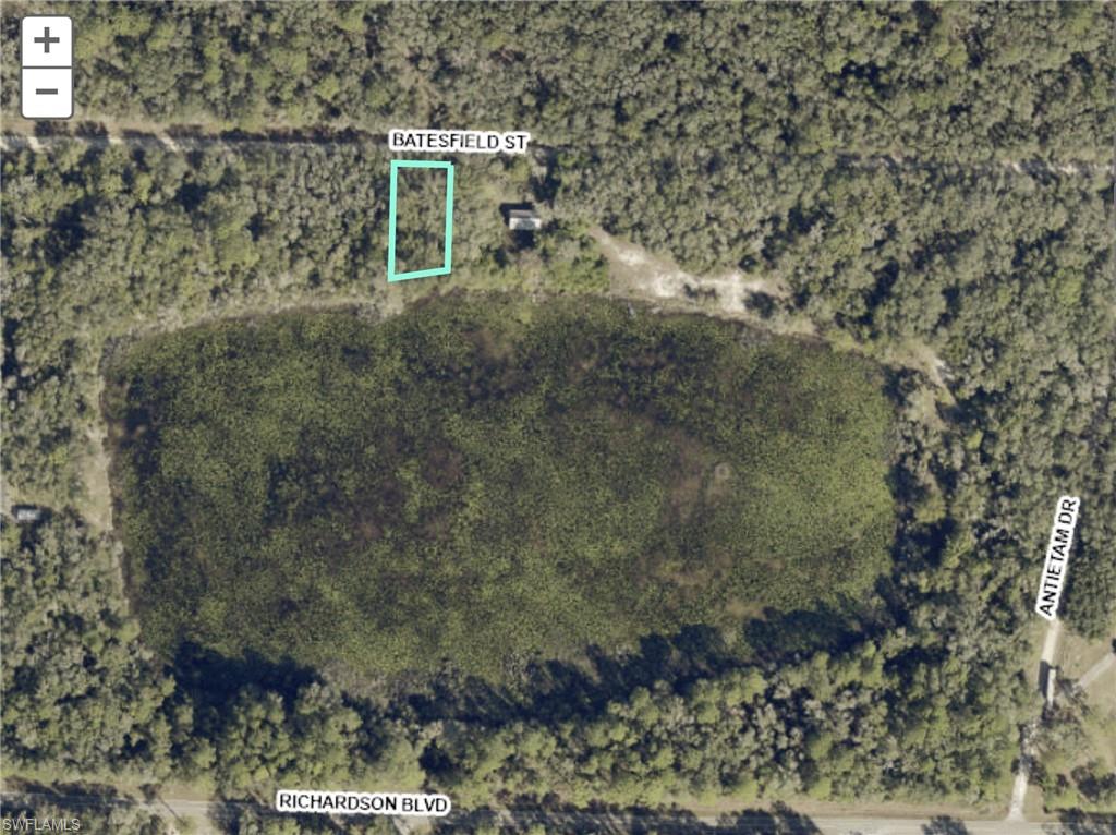 Opportunity to own .29 acre lot on a scenic 11-acre lake in Ridge Manor--NOT in a flood zone. Southern rear exposure, 80 feet of lake frontage(Because of the drought conditions, lake is currently low or dry). Not enough land? The adjoining lot is also for sale, combine the lots for a large waterfront compound! Watch the herons, egrets, and Sandhill Cranes as you fish or kayak in your own back yard. Great up and coming community, especially for nature lovers and outdoor enthusiasts-- new construction is popping up, but the neighborhood is still very rural/wooded. Community has no HOA. All kinds of Florida wildlife abounds in the area, especially native and migratory birds. And, the community is surrounded by some of the state's best wildlife areas. Right down the street is Withlacoochee State Forest with miles of hiking/horseback/biking trails. Silver Lake Recreation Area is only a few miles away. Richloam Wildlife area and Green Swamp West wildlife areas are just minutes away by car. Short drive to Interstate 75; Tampa, Orlando and Florida's gorgeous beaches are all within an hour drive. Don't miss the opportunity to own your own piece of paradise.