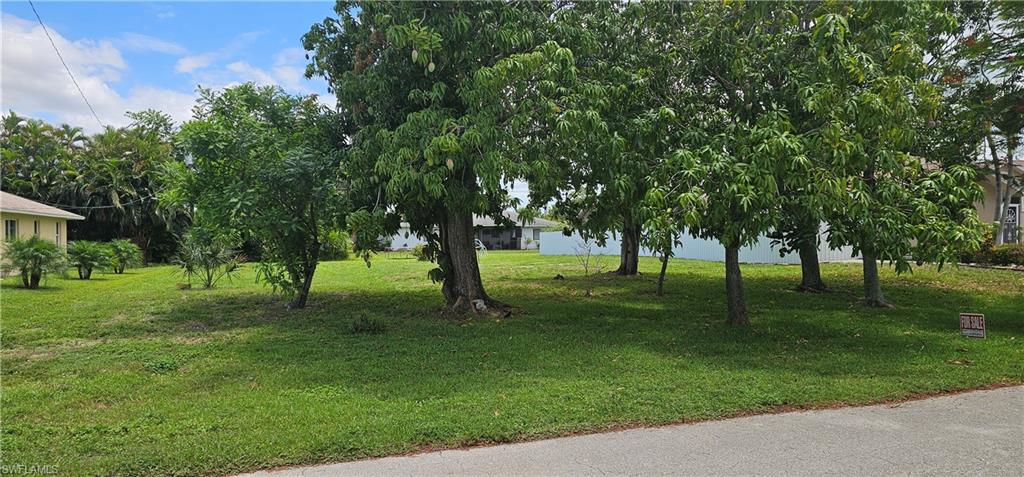 NON-FLOOD ZONE LOT!!! Beautiful Residential Lot with All Assessments Paid Located at the End of an Established SE Cape Coral Neighborhood.  Centrally Positioned in the City so Very Close to Shopping, Restaurants and Schools. This is a Must See!!!