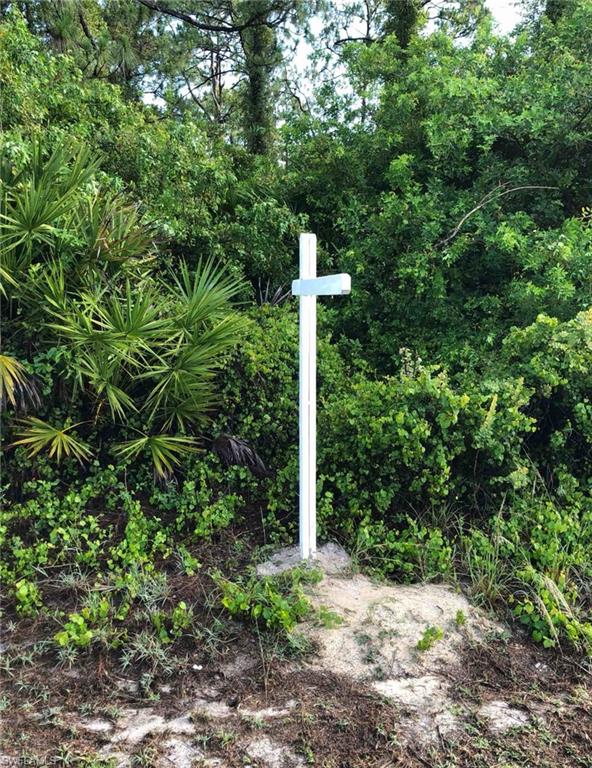 Excellent opportunity to own a quarter-acre homesite in one of Lehigh Acres' growing residential areas. This spacious lot is located on a paved road and offers the perfect setting for your future dream home. With no HOA restrictions, electric service available, and convenient access to SR-82, shopping, schools, and dining, this property combines flexibility, value, and location. Well and septic will be required.
