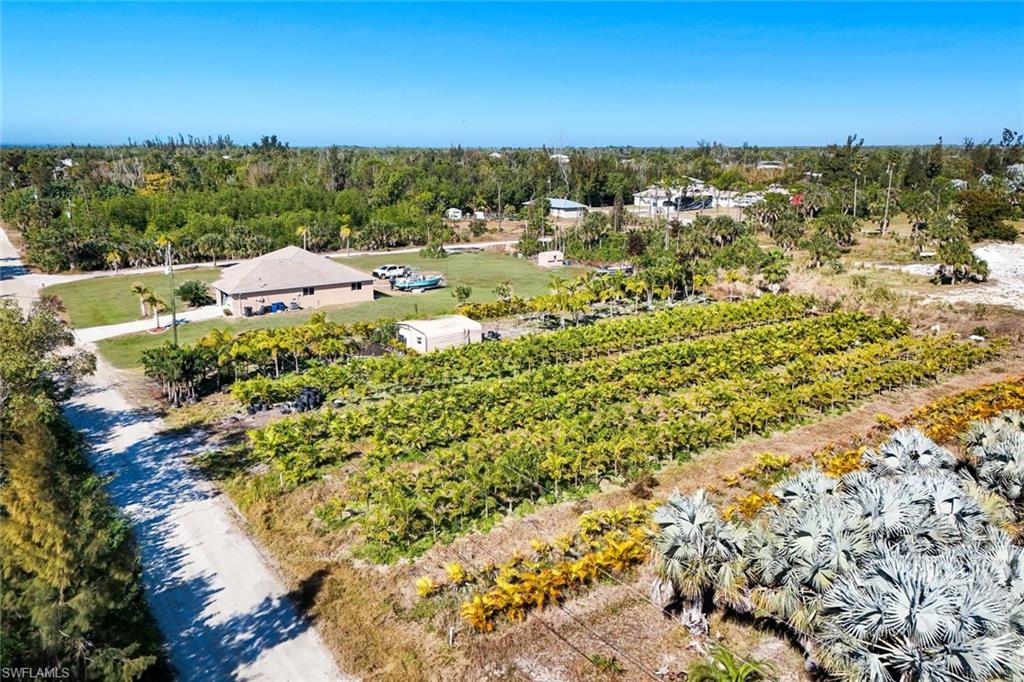 Agricultural-zoned vacant lot in St. James City with residential use permitted. Currently a young palm tree farm consisting of Foxtail palms and Christmas Palms with irrigation, private well, and electricity already connected. Ideal for building a home while maintaining agricultural use. Competitively priced compared to nearby listings.

Lote a la venta con zonificación agrícola en St. James City, permite construir residencia. Actualmente funciona como plantación joven de palmas, cuenta con sistema de riego, pozo privado y electricidad conectada. Ideal para construir y mantener uso agrícola. Precio competitivo en comparación con propiedades cercanas.