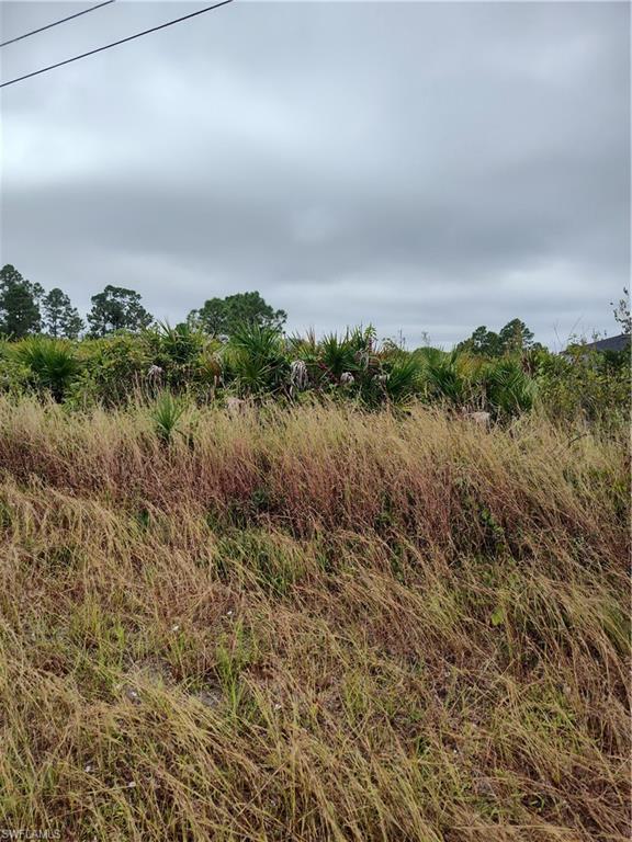 LEHIGH ACRES - Land