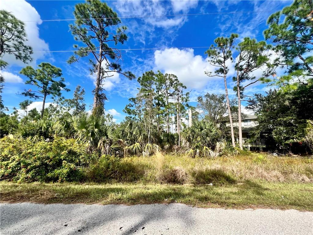 TROPICAL GULF ACRES - Land