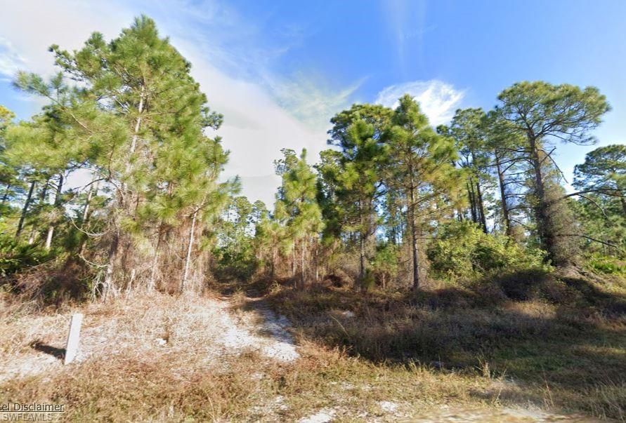 LEHIGH ACRES - Land