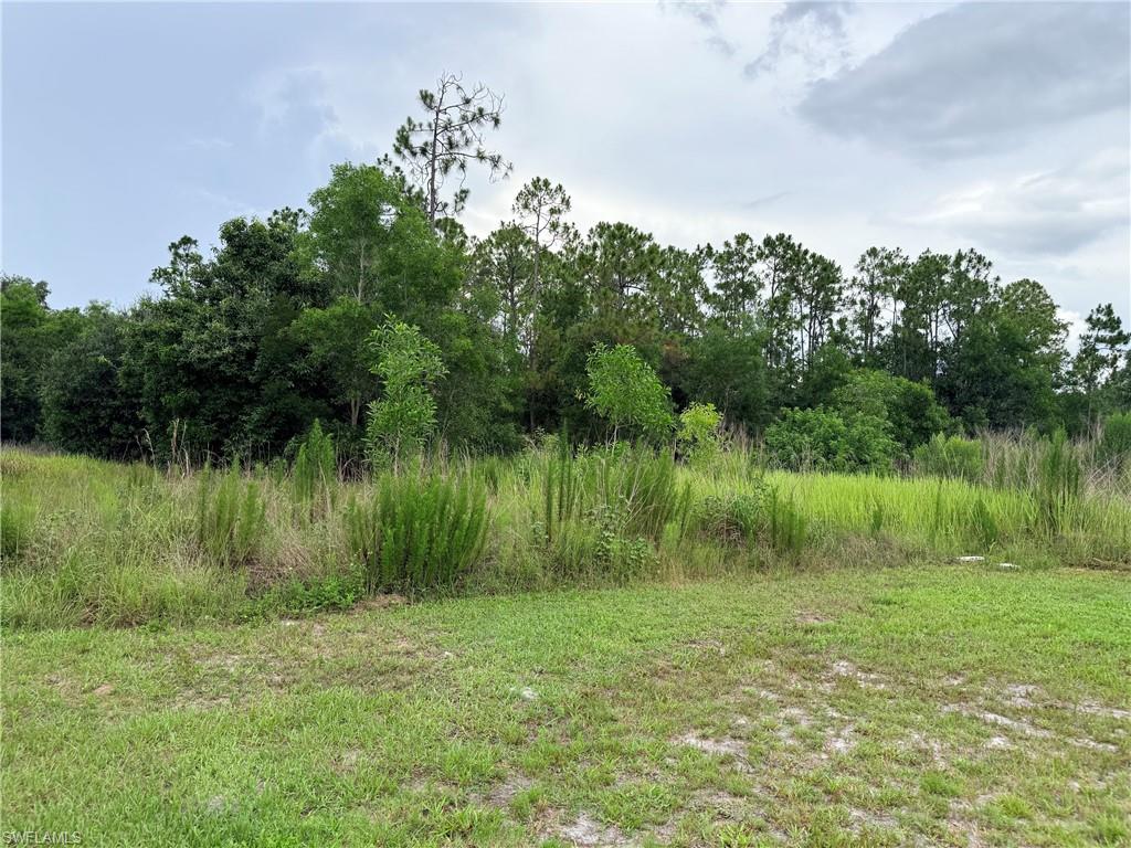 ACREAGE - Land