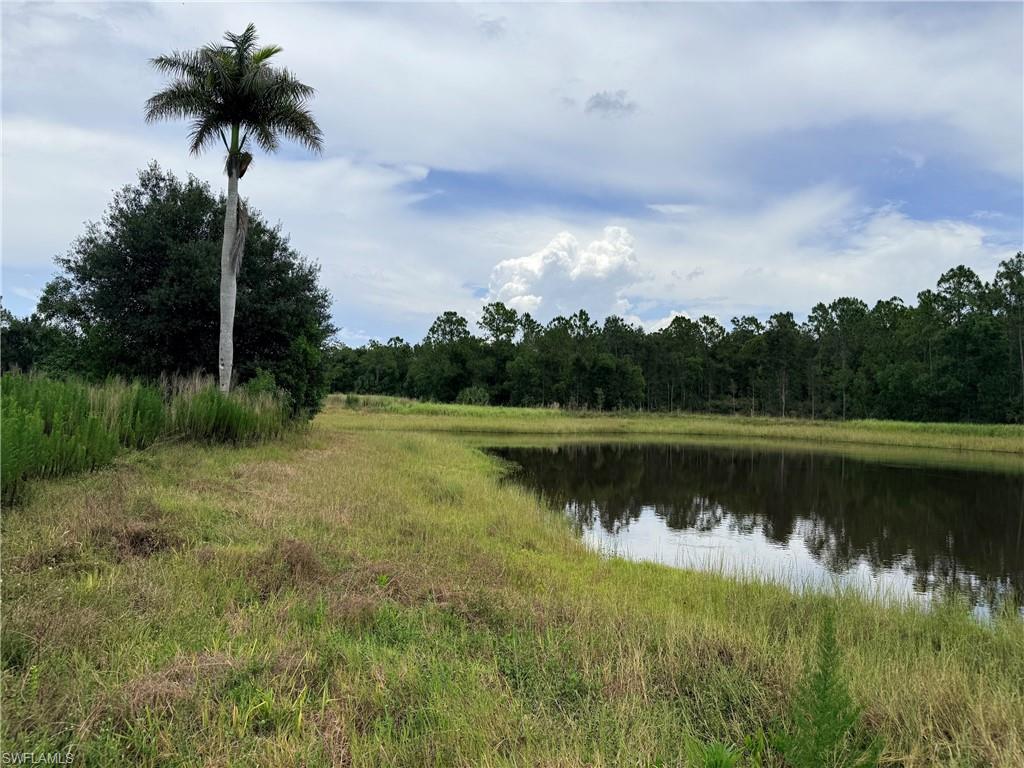ACREAGE - Land