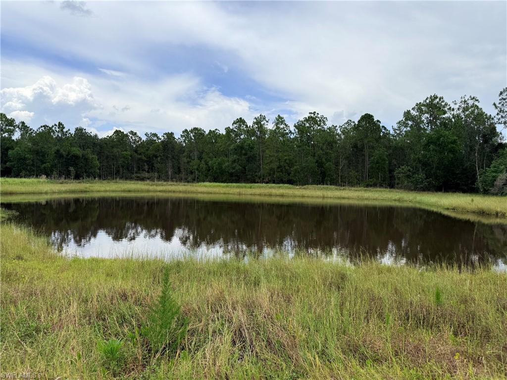 Embrace the beauty and potential of this remarkable 9.55-acre wooded property featuring its own serene lake. Enjoy peaceful fishing, birdwatching, and the tranquility of nature from your private retreat. Perfectly square in shape and partially fenced, this land offers exceptional privacy with towering trees and lush natural foliage. Whether you envision a secluded estate, weekend getaway, or investment opportunity, this versatile parcel provides endless possibilities. The lot may be divided into two parcels, offering flexibility for multiple homesites or the option to maintain one expansive sanctuary. Ideal for residential use, equestrian activities, grazing, hobby farming, livestock, or recreational enjoyment, the land supports a wide range of future improvements and development plans. The property includes an existing garage with electricity, plus a well and septic system—perfect for storage, a workshop, or housing recreational equipment. With ample space to build and nature all around, this is an ideal setting for those seeking peace, privacy, and long-term potential. Located in the desirable Corkscrew area, the land is surrounded by approximately 64,000 acres of protected preservation areas, including the Audubon Corkscrew Swamp Sanctuary, CREW Bird Rookery, and Lake Trafford—ensuring lasting natural beauty and abundant wildlife. Don’t miss this opportunity to own a private, wooded haven with unmatched versatility and charm.