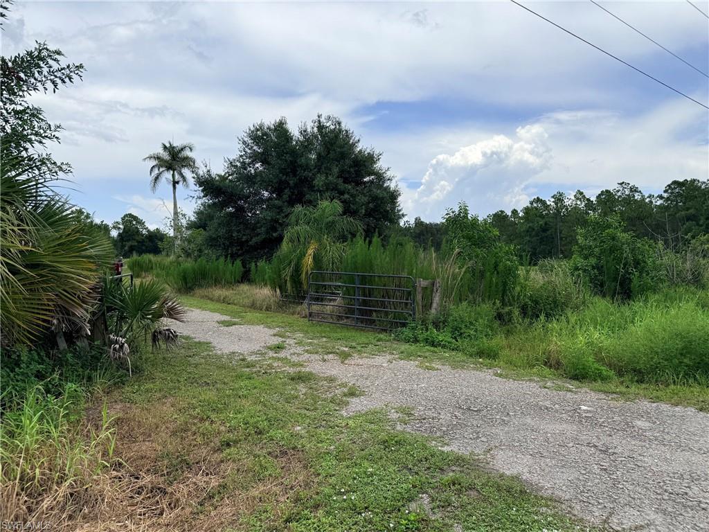 ACREAGE - Land
