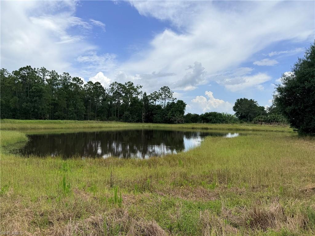 ACREAGE - Land