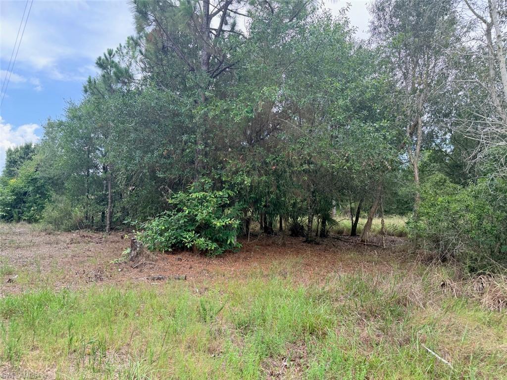 ACREAGE - Land