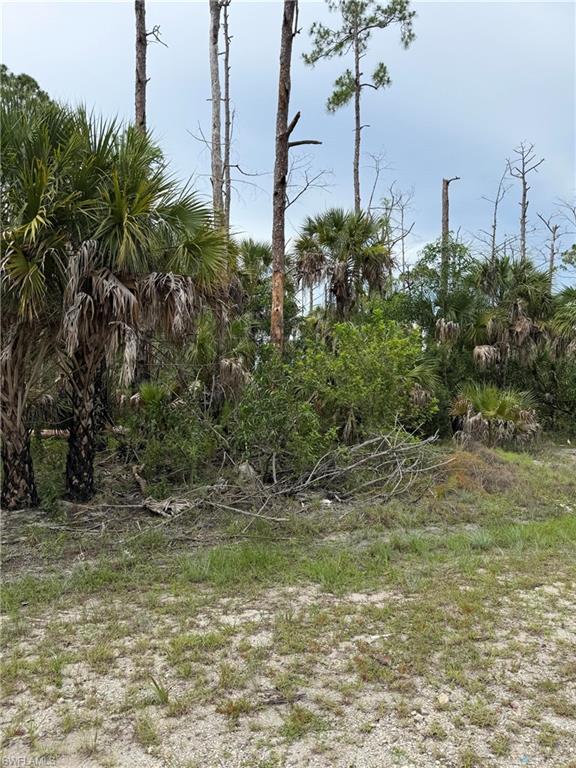 .  This is 2.5 acre lot 165' (wide) x 660' (long).  No wetlands - entire lot is High and Dry. When this lot was purchased a wetland study was performed and it was confirmed not wetlands found. Close  Immokolee  and wilson.  Lot is located to east property line of existing neighbor  211 22nd Ave NW.