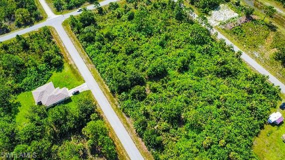 LEHIGH ACRES - Land