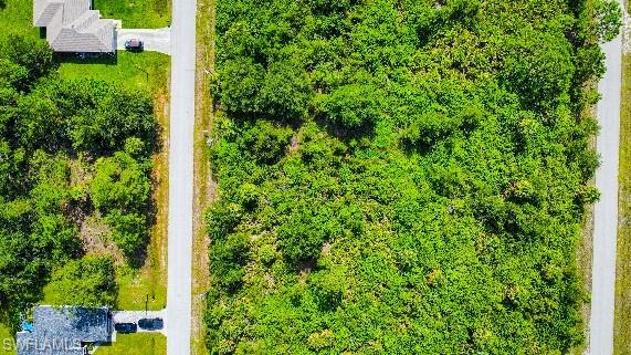 LEHIGH ACRES - Land