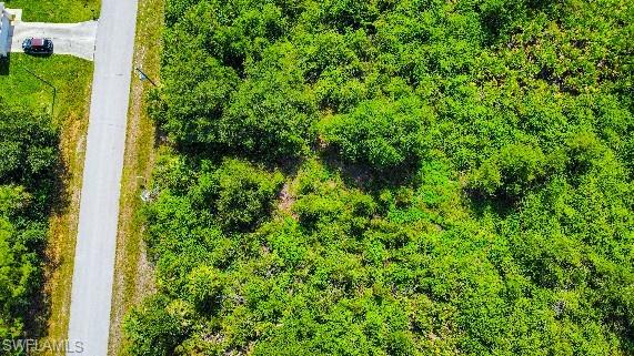 LEHIGH ACRES - Land