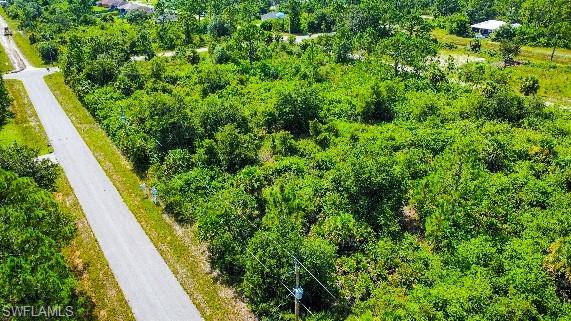 LEHIGH ACRES - Land