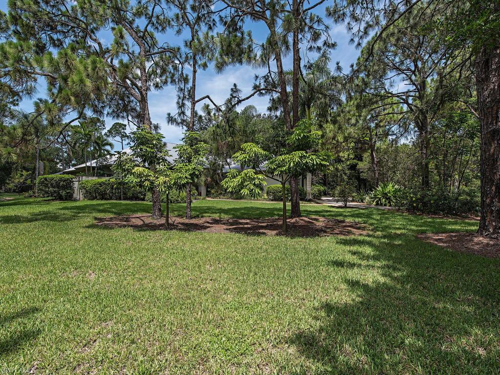 PINE RIDGE - Residential