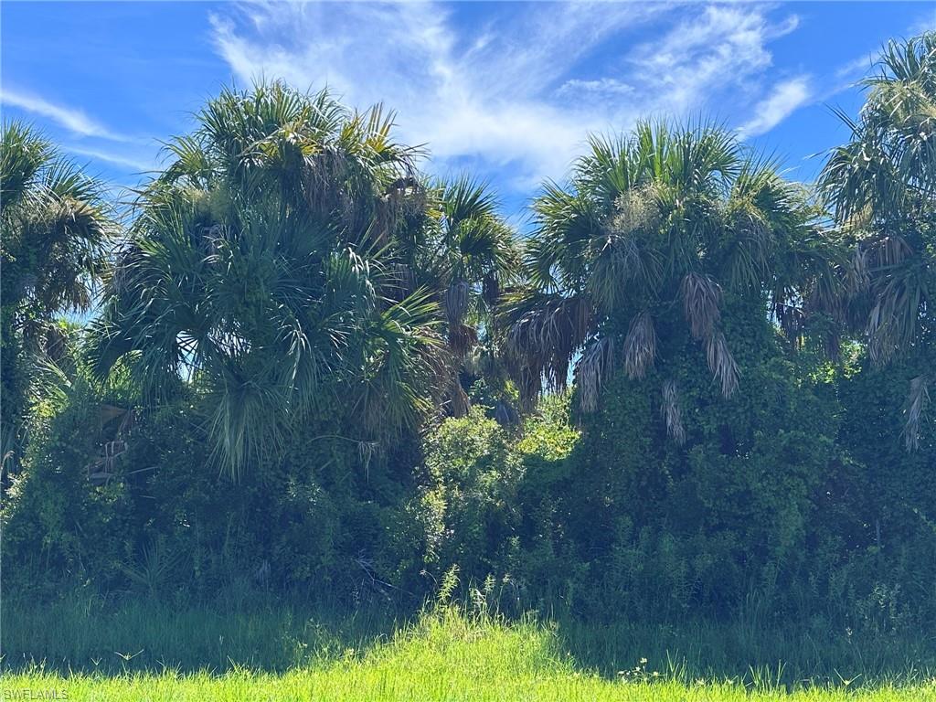 EAST ENGLEWOOD - Land