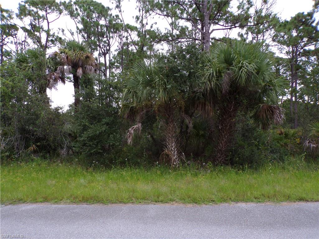 This lot is on a quiet street that would be a great place to build your dream home and retire or raise your family. Less than 3 miles to I75 makes this location an easy commute to almost anywhere, and only 31 miles to Chadwick park at Englewood Beach with amazing sunsets, 14 miles to Port Charlotte Town Center and only 5 miles Punta Gorda Historic district and waterfront park with lots of shopping and dining options. Tampa Bay Rays spring training and the fairgrounds are just minutes away, also multiple golf courses and some of the best boating and fishing in all of Florida. Red Soxs, Orioles, Twins and Braves spring training all within an hour’s drive. Buyer and buyers rep responsible for determining environment conditions and endangered species restrictions. This lot is priced to sell so please call for availability! This lot is at a great price point for the investor call today.