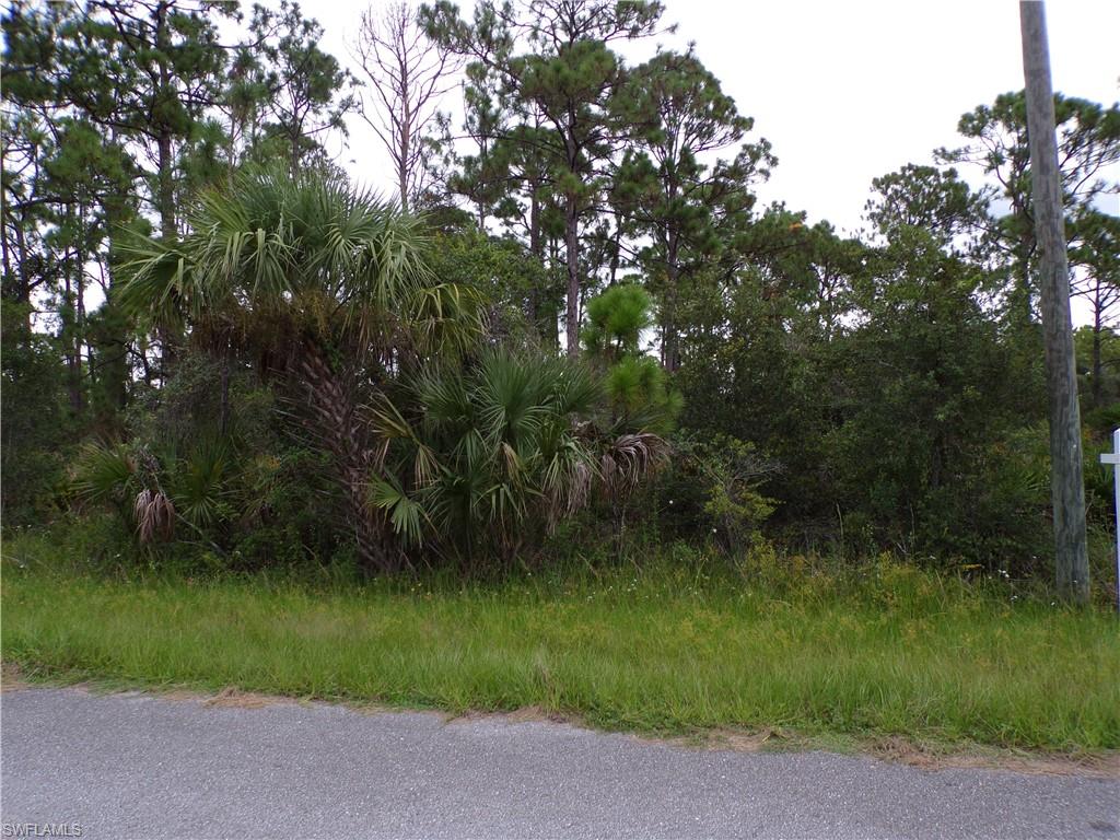 SOUTH PUNTA GORDA HEIGHTS - Land