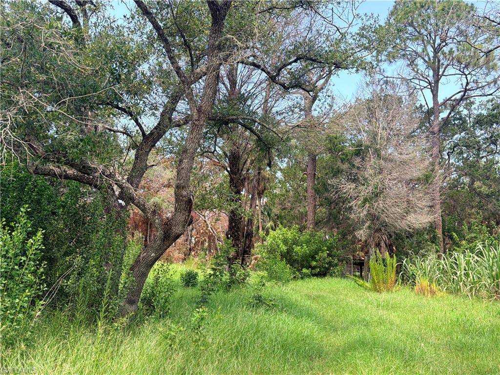 SPRING CREEK ESTATES - Land