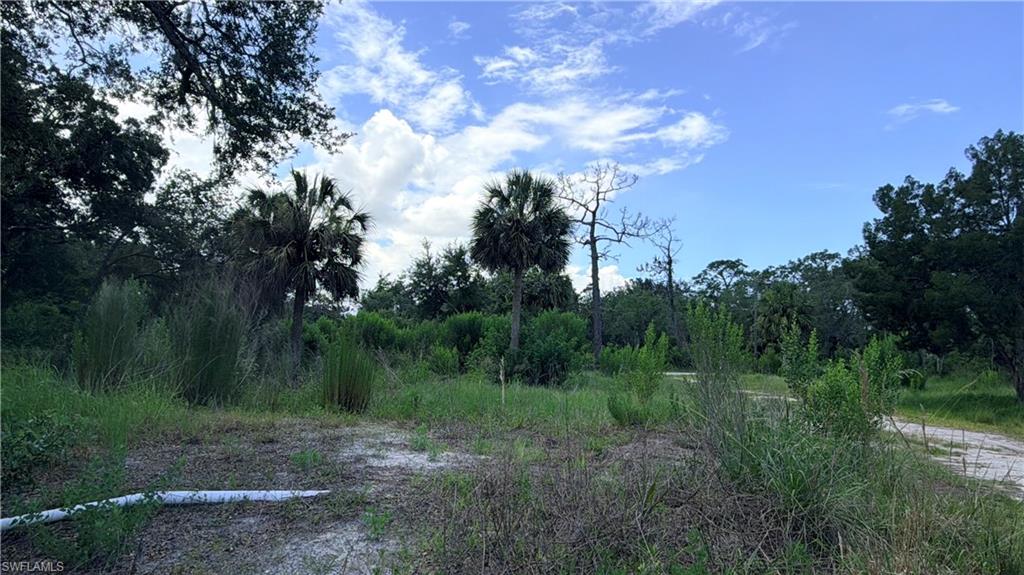 SPRING CREEK ESTATES - Land