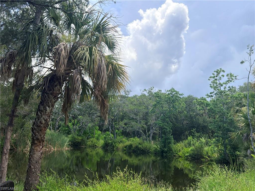 SPRING CREEK ESTATES - Land
