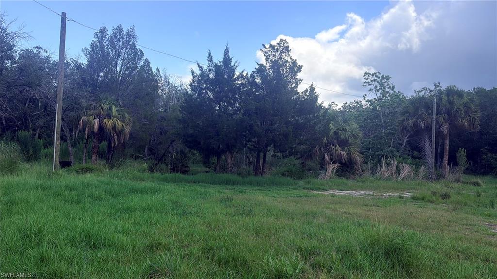 SPRING CREEK ESTATES - Land