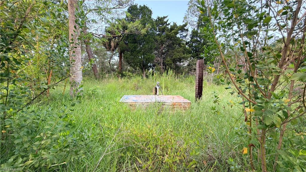SPRING CREEK ESTATES - Land