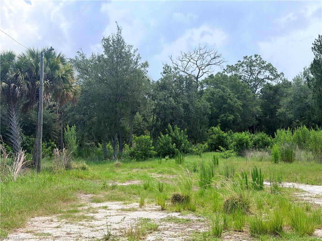 SPRING CREEK ESTATES - Land