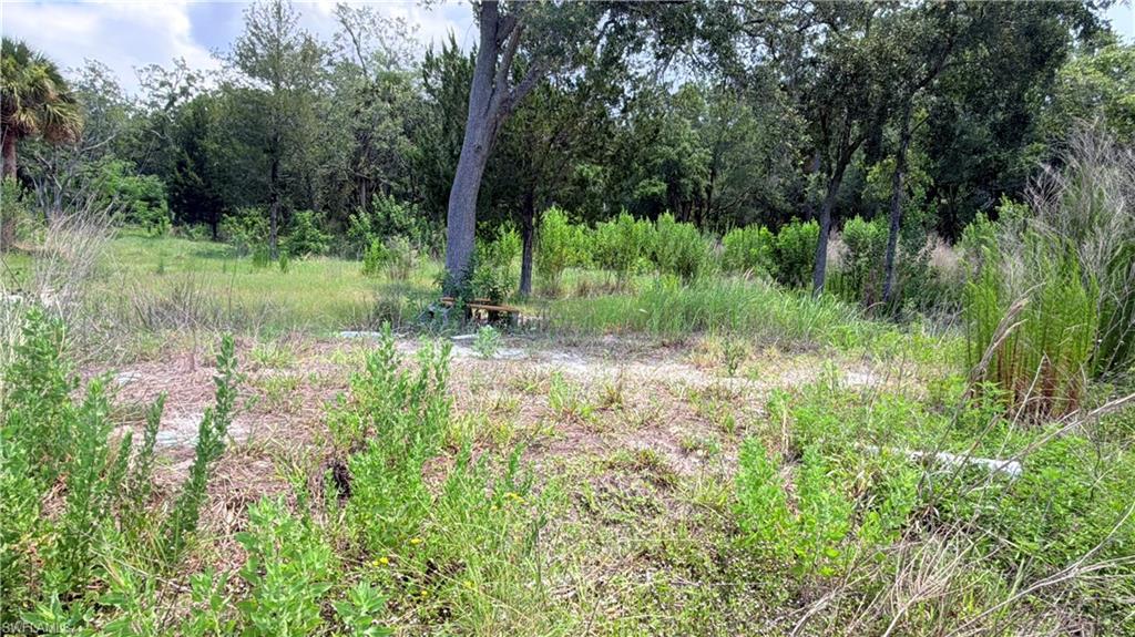 SPRING CREEK ESTATES - Land