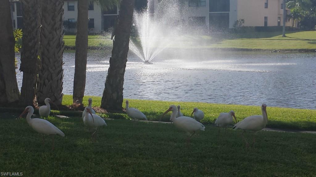 CLUB AT CRYSTAL LAKE CONDOMINIUM - Residential