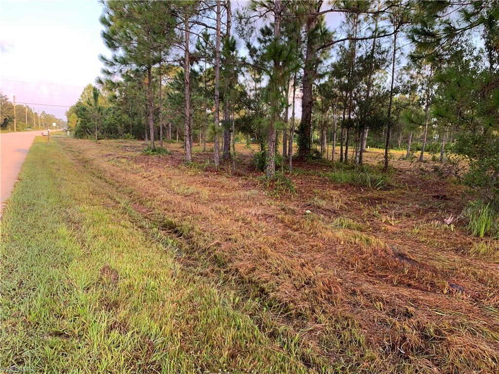 TROPICAL GULF ACRES - Land