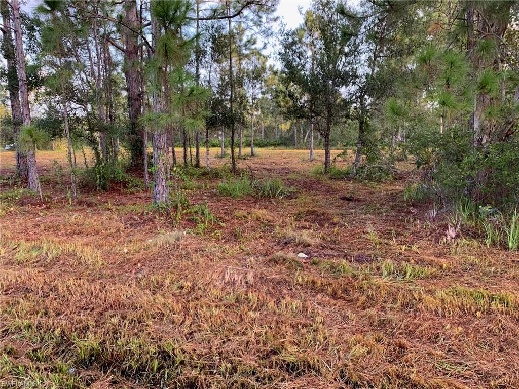 TROPICAL GULF ACRES - Land