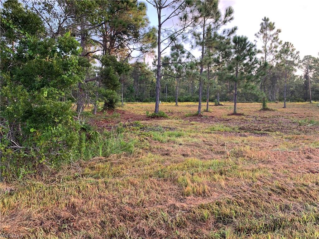 TROPICAL GULF ACRES - Land