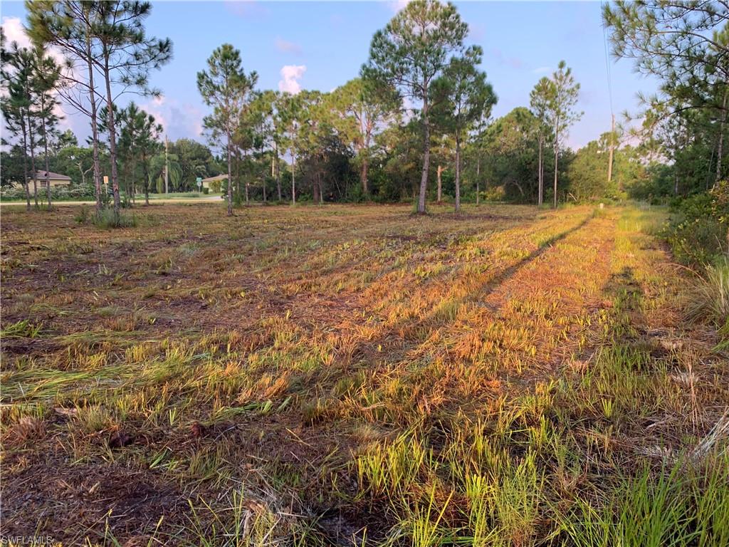 TROPICAL GULF ACRES - Land