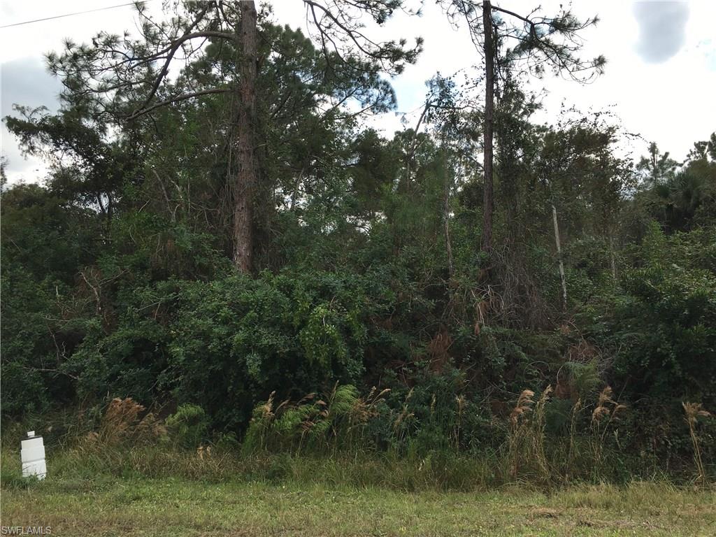 100% UPLAND per TEC 2014.  In front of THIS lot is a City owned, canal front 4+ acre lot.  The back of THIS lot borders County owned, canal front land.  The City and County are likely to not build on their land with it being designated for canal purposes - GREAT PERK.  Surrounded by oversized lots providing FANTASTIC PRIVACY**  THIS Avenue has a covered shelter with a bench, and bike rack at Everglades and 6th Ave. Perfect for kids for school bus pick up and adults for Collier County Transportation. Horses allowed.  **The environmental report posted is of this lot plus the canal front lot next to it prior to the lots being divided.  Seller has additional lots available: **2.73 acres 22nd St NE 100% UPLAND flood zone X per survey w/ PID 39661440009 listed 129K.  **UPLAND 2.27 acres 47th Ave NE by Immokalee Rd flood zone X500 w/ 2 small exempt ditches and no ERP per DEP w/ PID 3965860005 listed 109K.  Seller is a Florida licensed realtor.