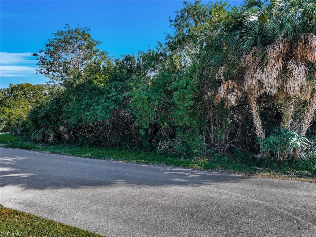 MARCO ISLAND - Land