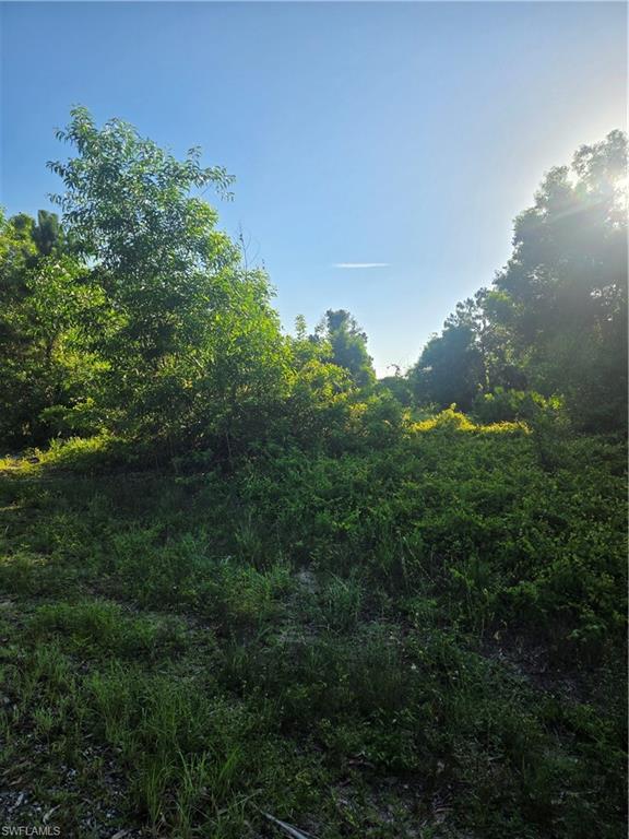 LEHIGH ACRES - Land
