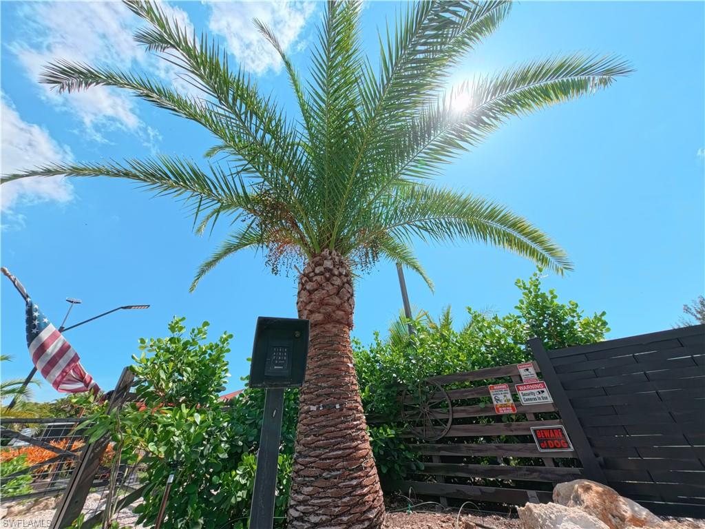 PINE ISLAND - Land