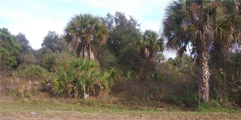 Experience the joy of building your dream home on this prime 2.27 acres of land in the enchanting and highly sought area of Golden Gate Estates in beautiful Naples, Florida ! The property is located just minutes to major roads, shops, and so much more. With so much space on this land, the possibilities are endless. Don't delay, make this property part of your portfolio today !