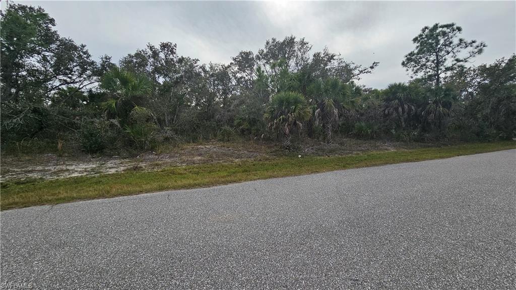 Great location for your new FL dream home. 2 other additional lots available see MLS#223053204 and #223053205. Cable is newly installed in the area. Please do your due diligence.