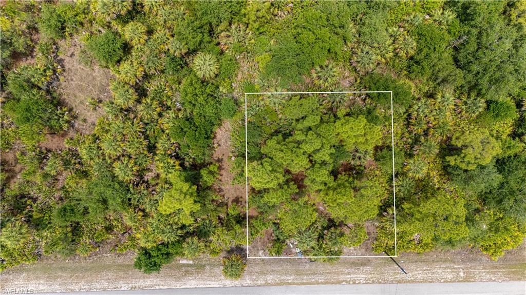 LEHIGH ACRES - Land
