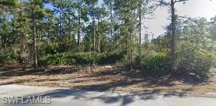 LEHIGH ACRES - Land