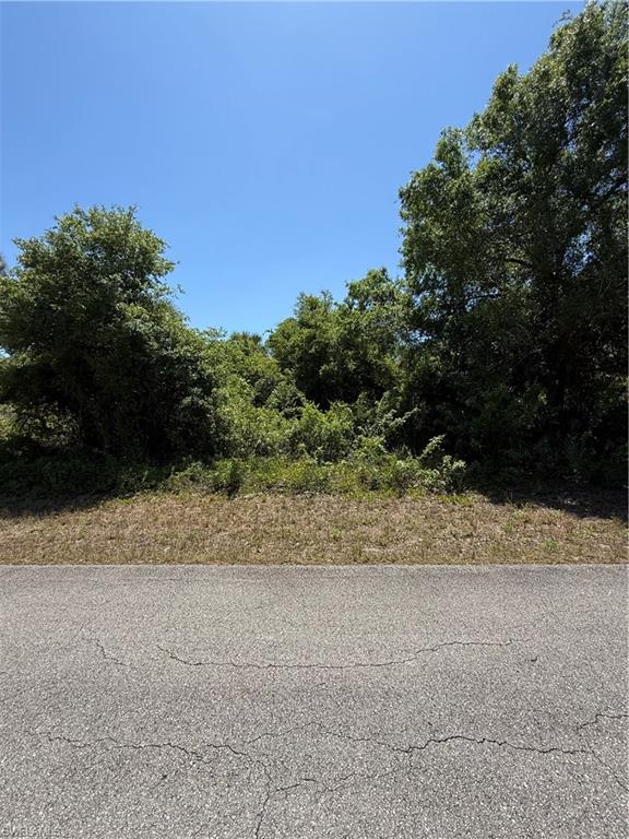 LEHIGH ACRES - Land